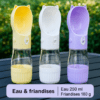 bouteille d’eau portable pour chien