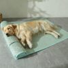 coussin orthopédique pour chien